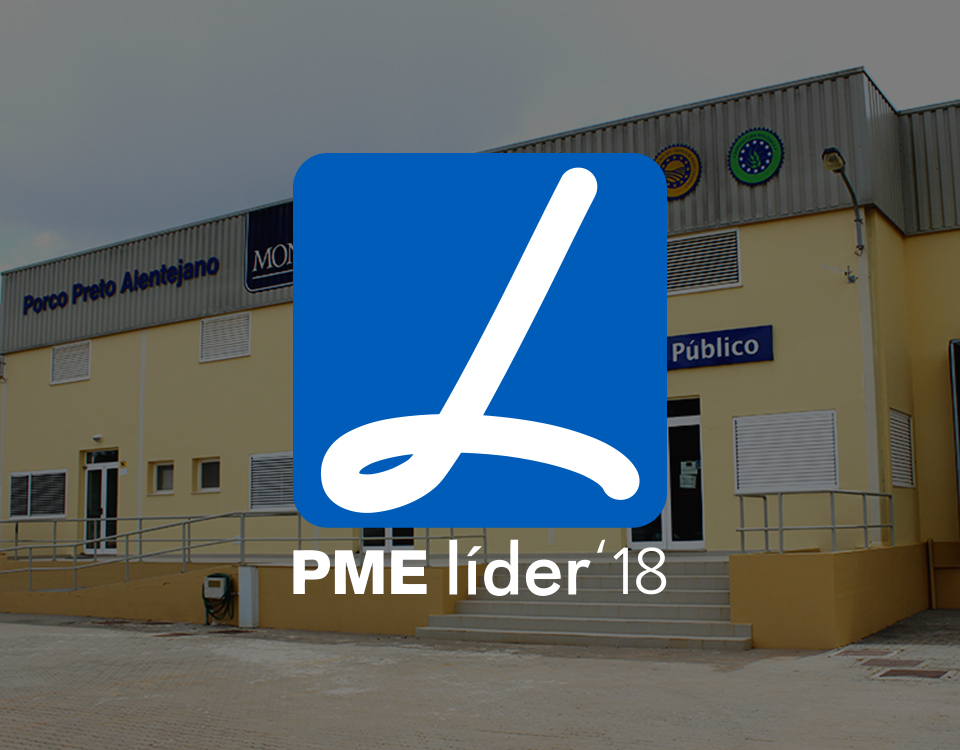 PME Lider 2018