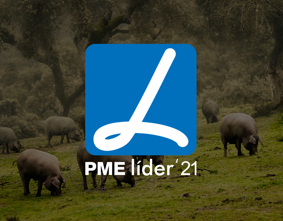 PME-Lider-2021